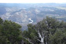 The yampa's maze [mon may 30 09:19:04 mdt 2016]